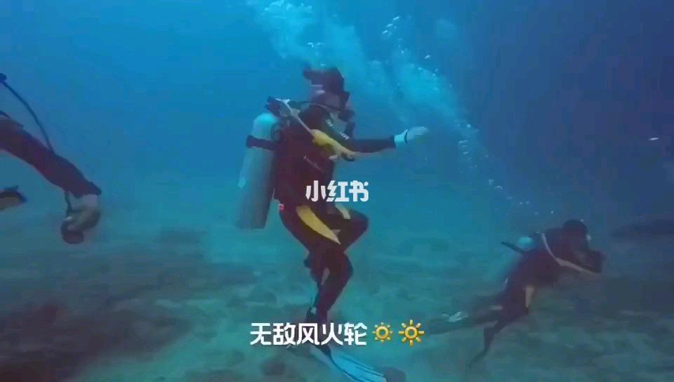 顽固失眠到底什么中药快速能根治啊，我是心脏神经官能症引起的失眠游戏画面